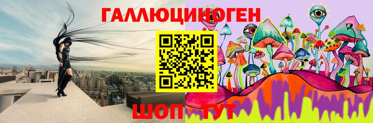 продажа наркотиков  Вход с VPN  Новокубанск  Галлюциногенные грибы прущие грибы 